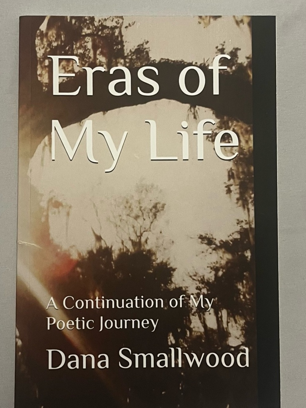 Eras of My Life by Dana Smallwood - Brown Tone Poetry Book